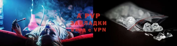 a pvp Белокуриха