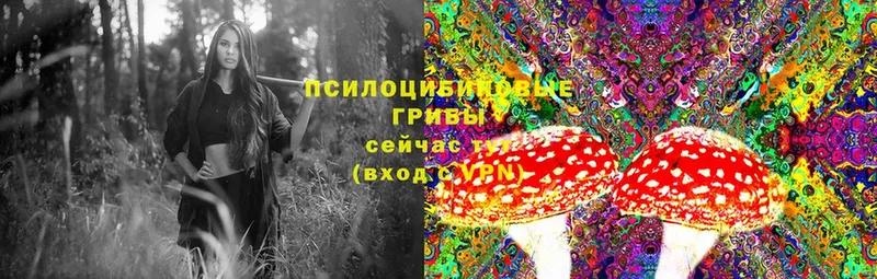 Псилоцибиновые грибы Cubensis  мега ONION  Медынь 